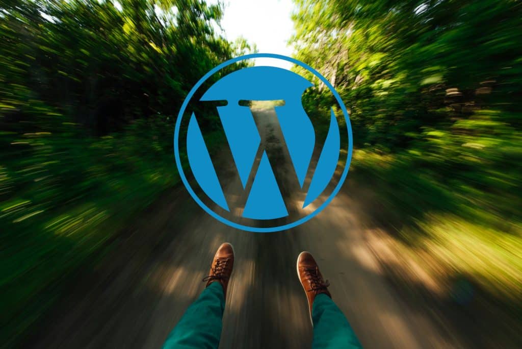 WordPress logo over fast-moving path